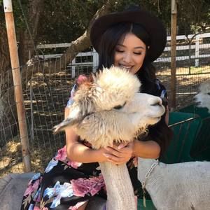 Meet your Posher, Darlene